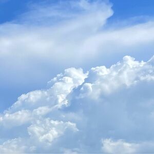 Meet your Posher, Shay